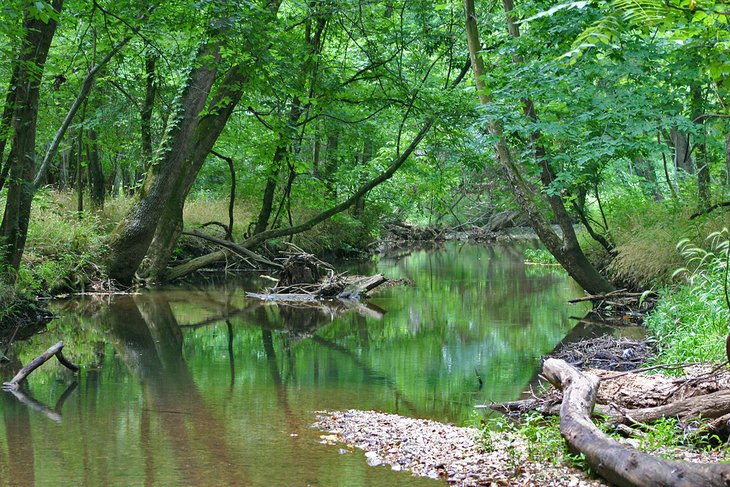 missouri-springfield-top-attractions-springfield-conservation-nature-center